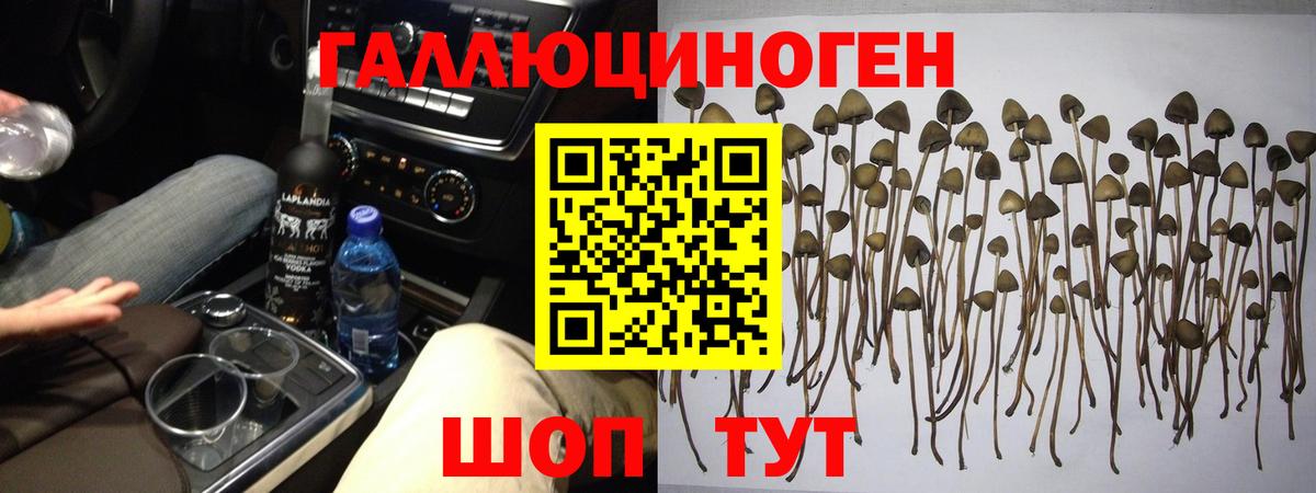 Псилоцибиновые грибы MAGIC MUSHROOMS Красноармейск