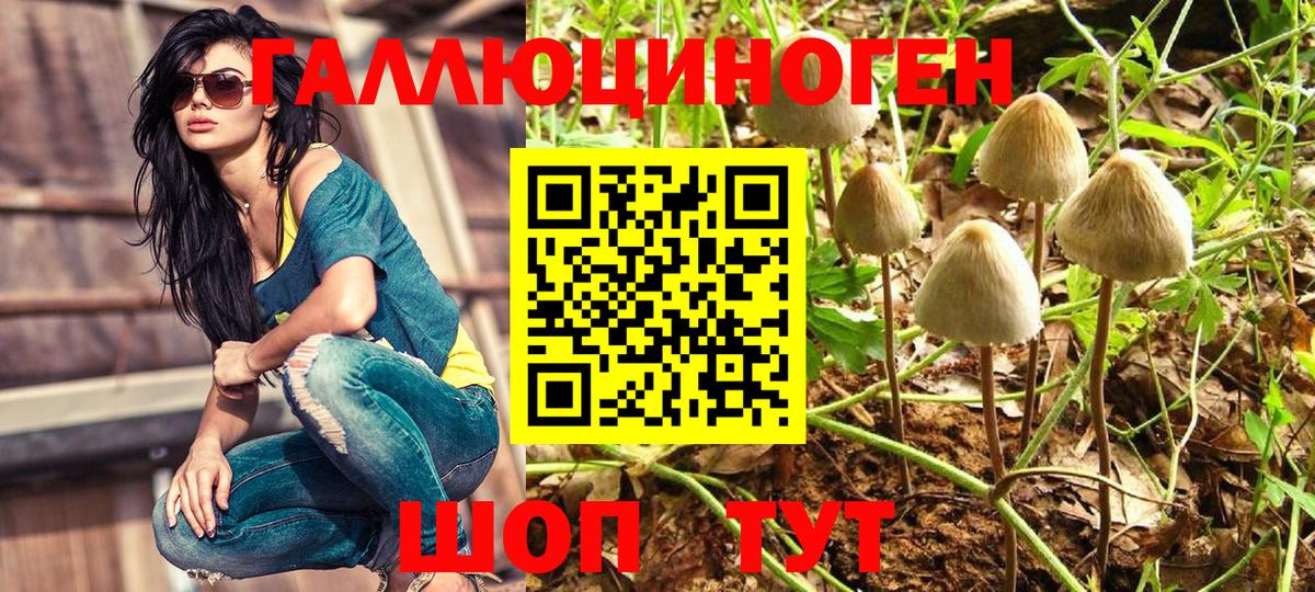 Красноармейск  Псилоцибиновые грибы Cubensis  Псилоцибиновые грибы прущие грибы  Вход с VPN 